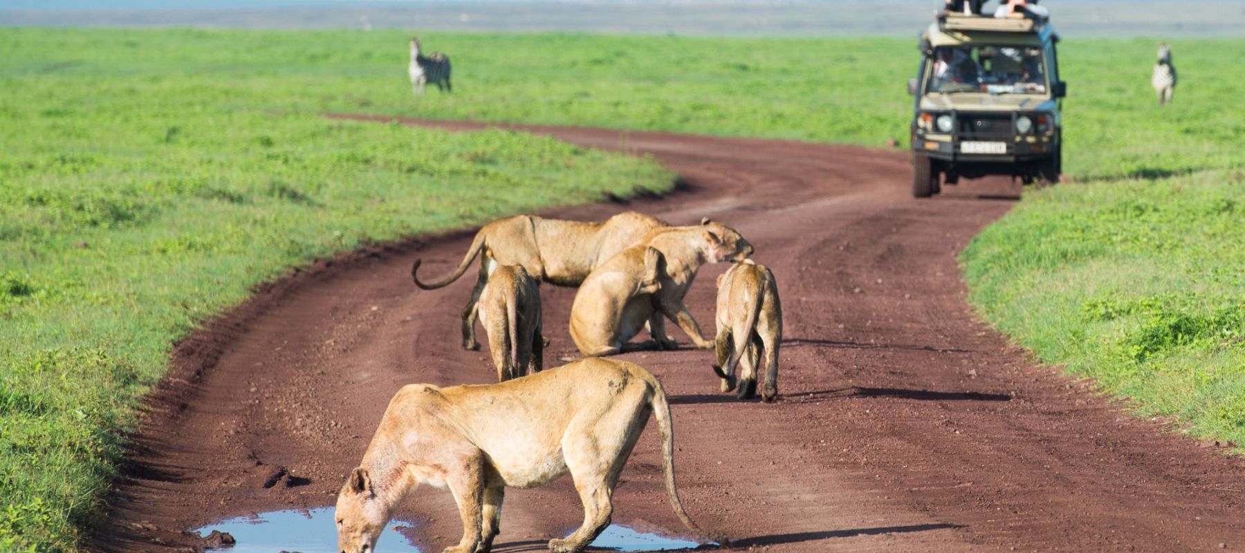 Tanzania Safari & Zanzibar Adventure